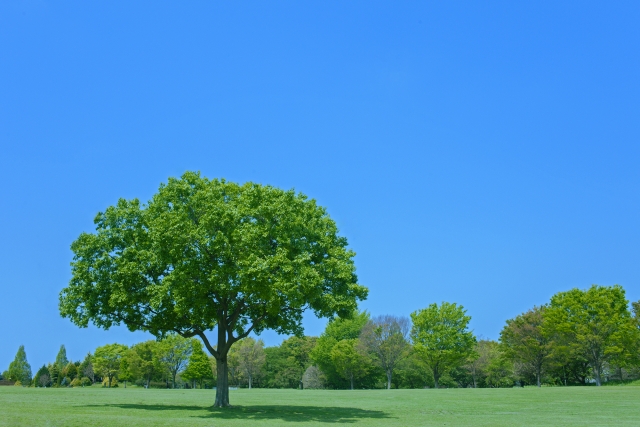 サステナビリティ